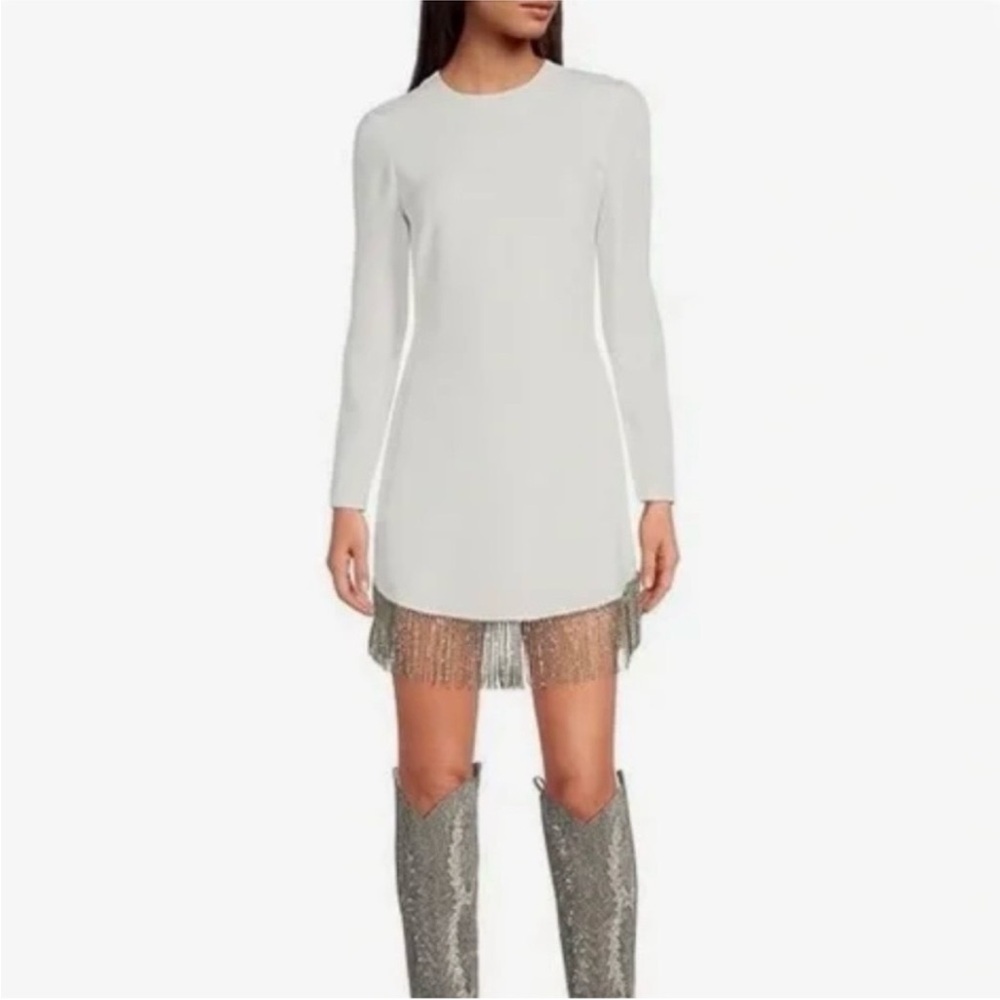 NWT Gianni Bini Sage Rhinestone Fringe Crew Neck Long Sleeve Crepe Dress